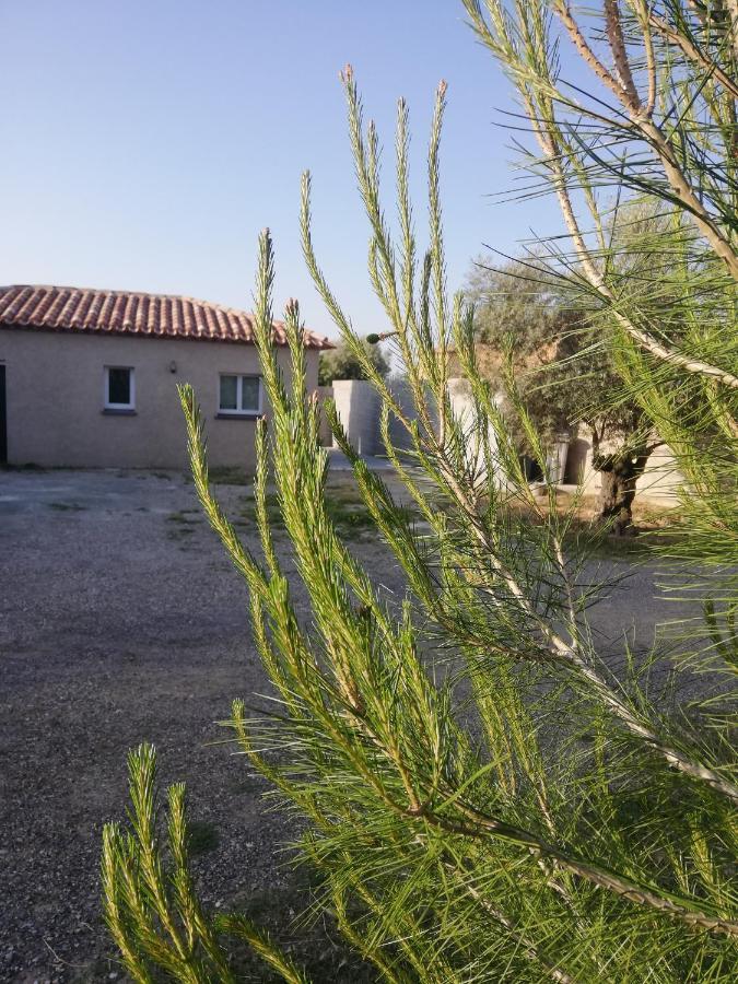 Holiday home Maison Du Causse *